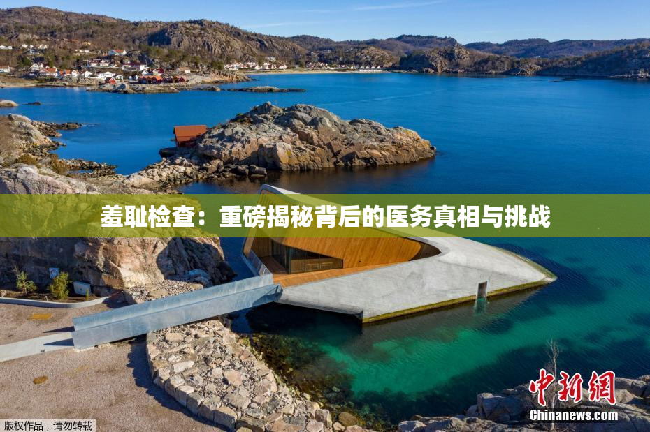 羞耻检查：重磅揭秘背后的医务真相与挑战