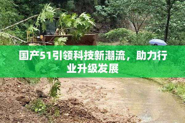 国产51引领科技新潮流，助力行业升级发展