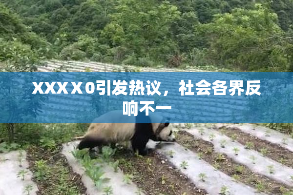 XXXⅩ0引发热议，社会各界反响不一