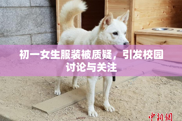 初一女生服装被质疑，引发校园讨论与关注