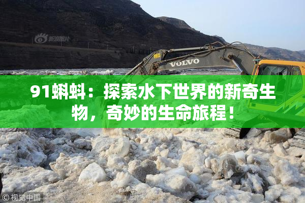 91蝌蚪：探索水下世界的新奇生物，奇妙的生命旅程！