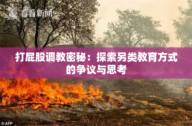 打屁股调教密秘：探索另类教育方式的争议与思考