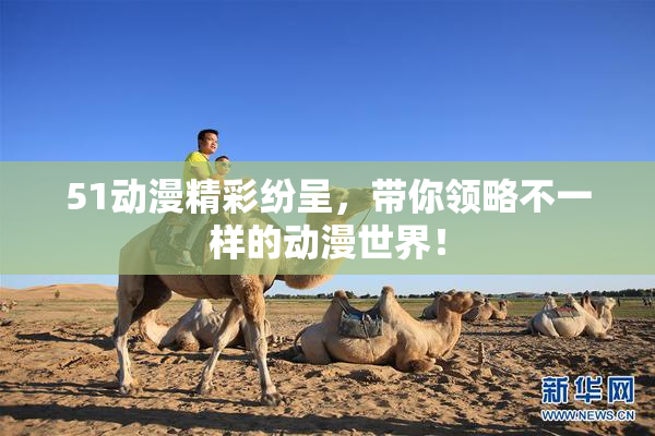 51动漫精彩纷呈，带你领略不一样的动漫世界！