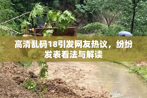 高清乱码18引发网友热议，纷纷发表看法与解读