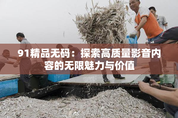 91精品无码：探索高质量影音内容的无限魅力与价值