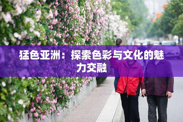猛色亚洲：探索色彩与文化的魅力交融