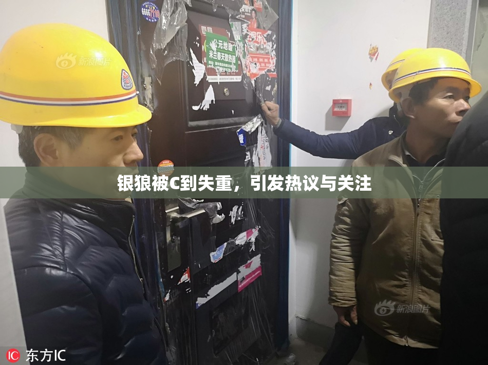 银狼被C到失重，引发热议与关注