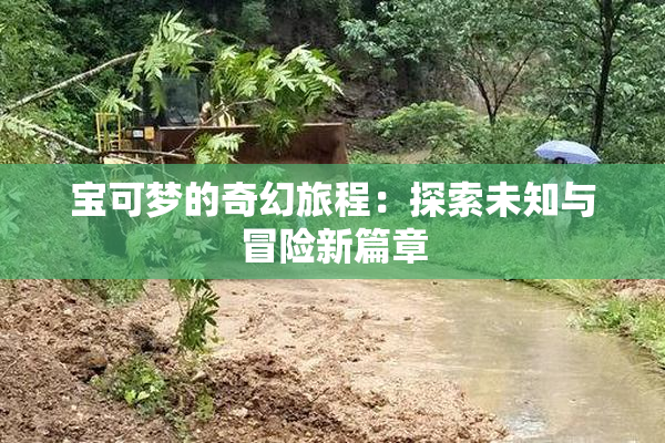 宝可梦的奇幻旅程：探索未知与冒险新篇章