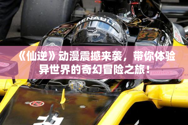 《仙逆》动漫震撼来袭，带你体验异世界的奇幻冒险之旅！