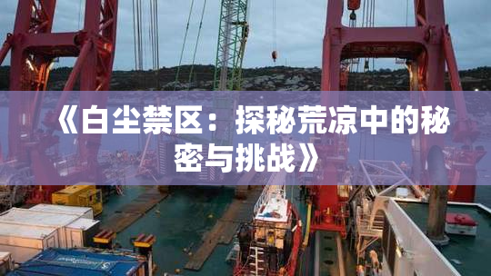 《白尘禁区：探秘荒凉中的秘密与挑战》