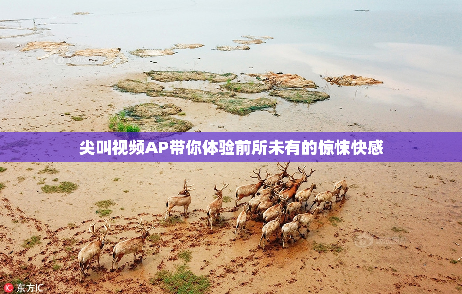 尖叫视频AP带你体验前所未有的惊悚快感