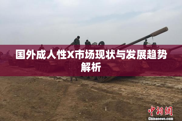 国外成人性X市场现状与发展趋势解析
