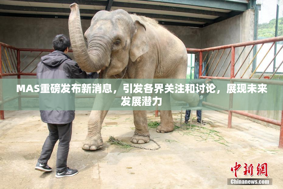 MAS重磅发布新消息，引发各界关注和讨论，展现未来发展潜力