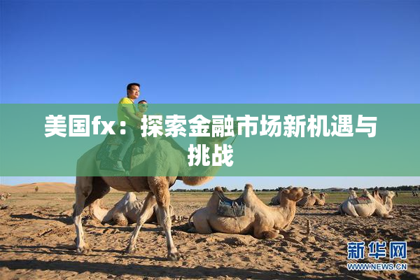 美国fx：探索金融市场新机遇与挑战