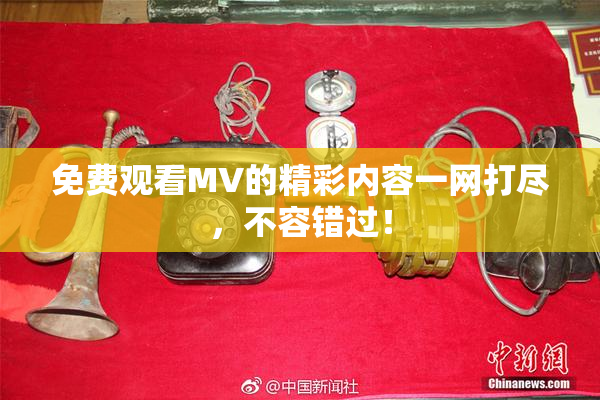 免费观看MV的精彩内容一网打尽，不容错过！