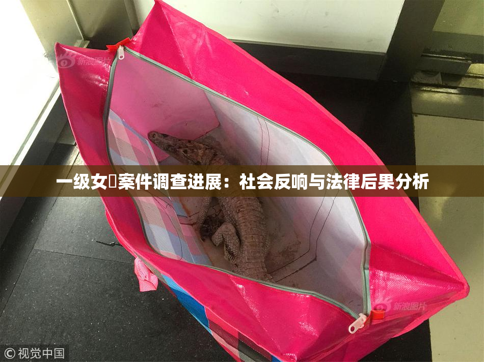 一级女婬案件调查进展：社会反响与法律后果分析