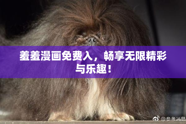 羞羞漫画免费入，畅享无限精彩与乐趣！