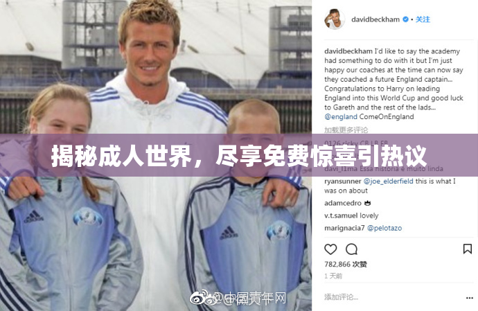 揭秘成人世界，尽享免费惊喜引热议