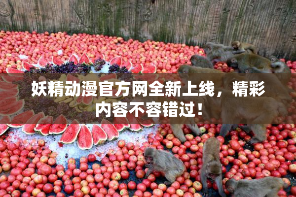 妖精动漫官方网全新上线，精彩内容不容错过！
