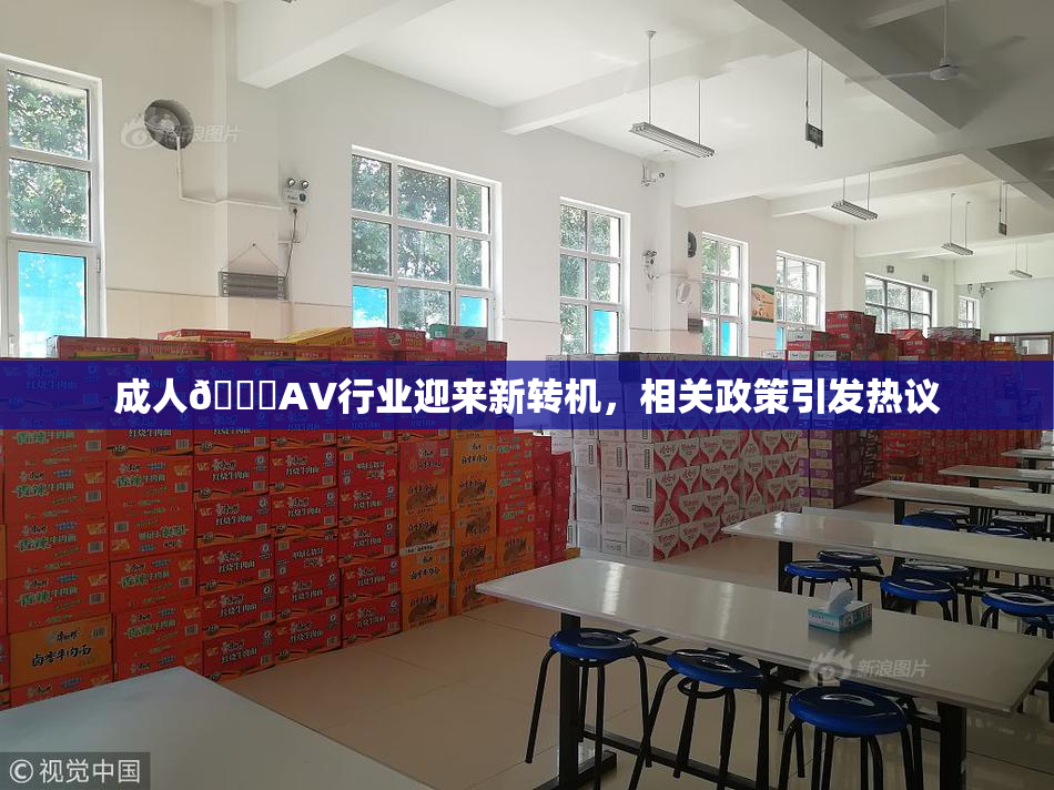 成人🔞AV行业迎来新转机，相关政策引发热议