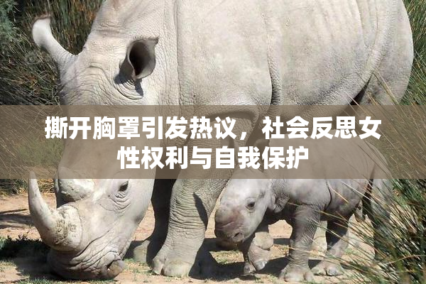 撕开胸罩引发热议，社会反思女性权利与自我保护