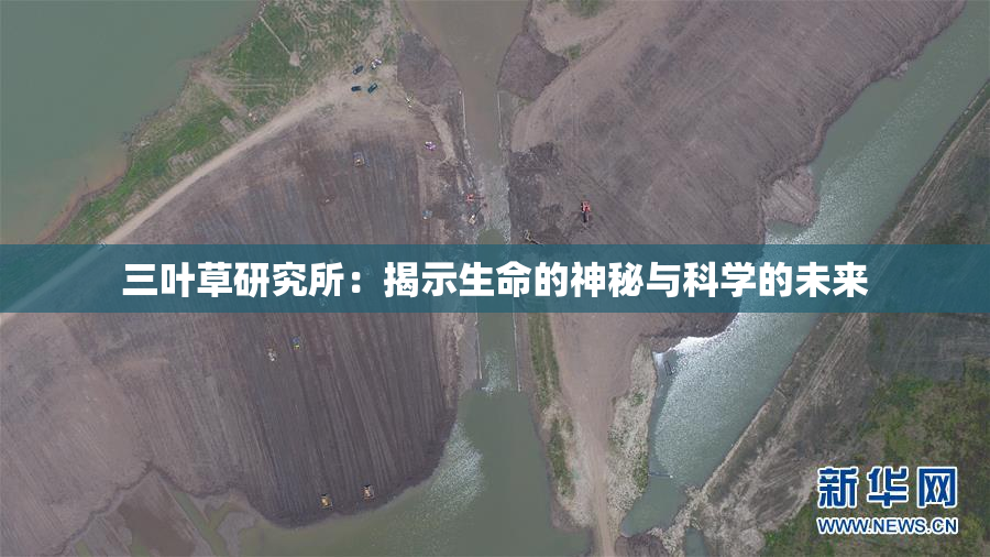 三叶草研究所：揭示生命的神秘与科学的未来