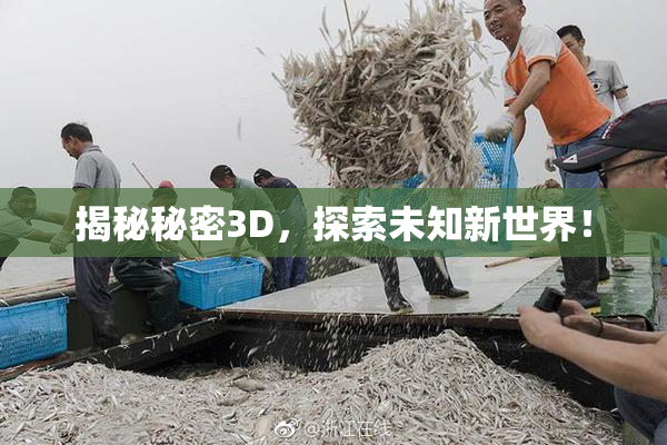 揭秘秘密3D，探索未知新世界！