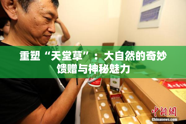 重塑“天堂草”：大自然的奇妙馈赠与神秘魅力