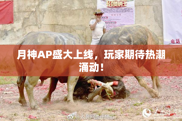 月神AP盛大上线，玩家期待热潮涌动！
