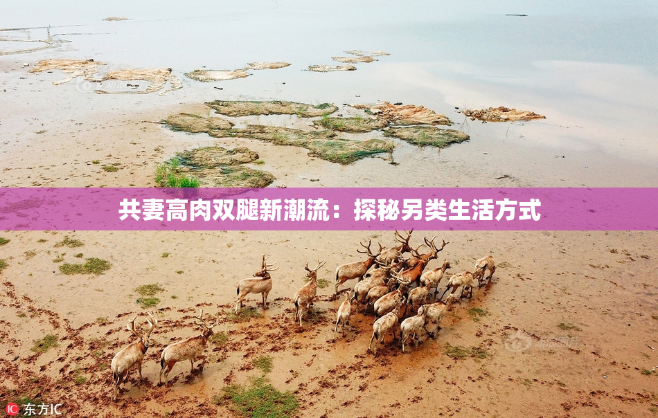 共妻高肉双腿新潮流：探秘另类生活方式