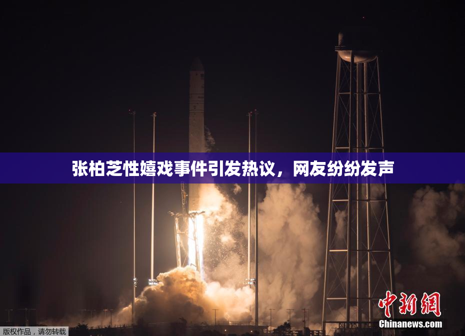 张柏芝性嬉戏事件引发热议，网友纷纷发声