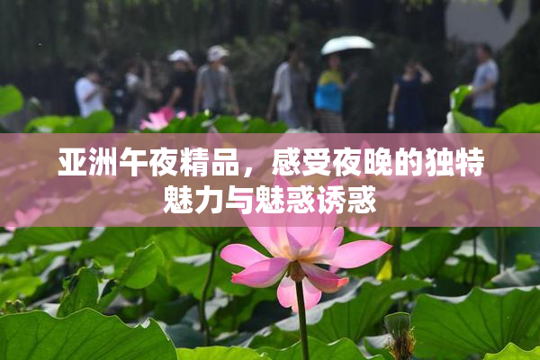 亚洲午夜精品，感受夜晚的独特魅力与魅惑诱惑