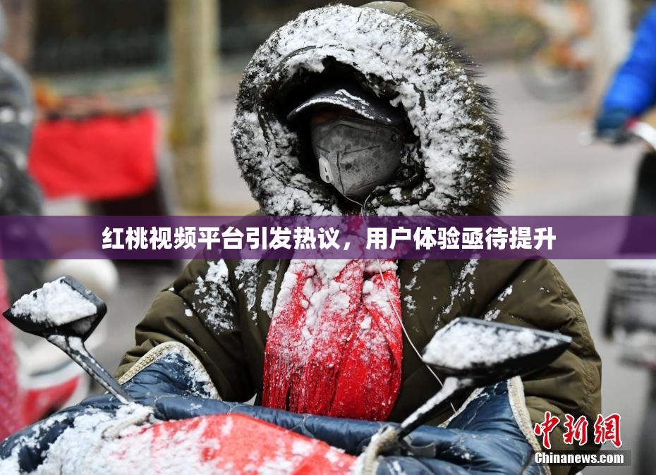 红桃视频平台引发热议，用户体验亟待提升