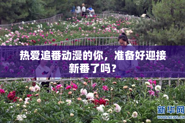 热爱追番动漫的你，准备好迎接新番了吗？