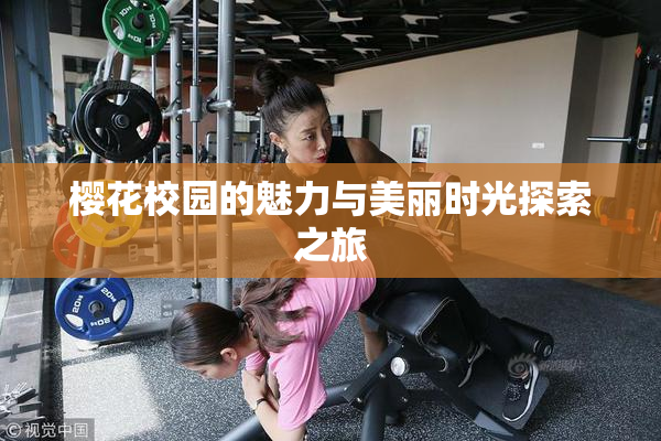 樱花校园的魅力与美丽时光探索之旅