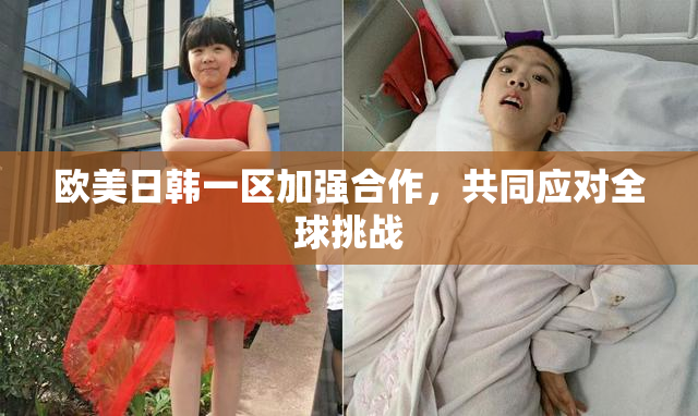欧美日韩一区加强合作，共同应对全球挑战