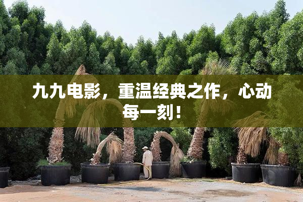 九九电影，重温经典之作，心动每一刻！