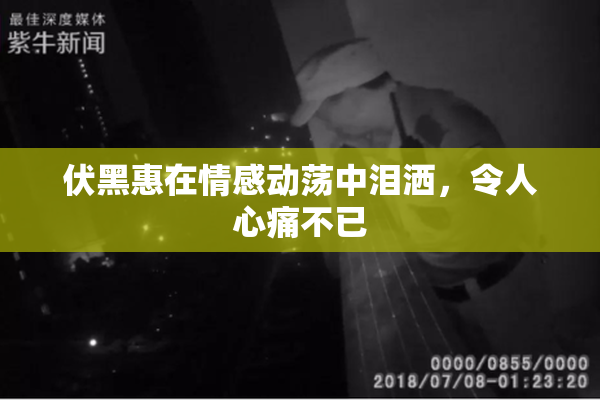 伏黑惠在情感动荡中泪洒，令人心痛不已