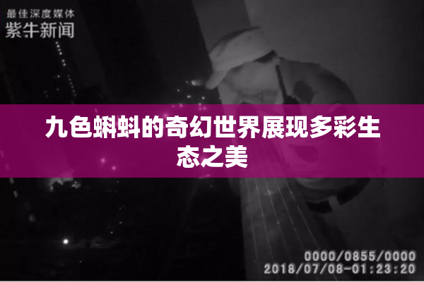 九色蝌蚪的奇幻世界展现多彩生态之美