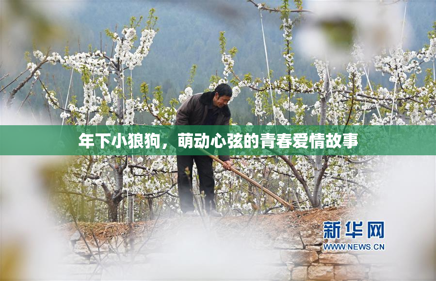 年下小狼狗，萌动心弦的青春爱情故事