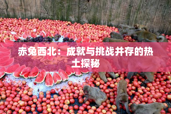 赤兔西北：成就与挑战并存的热土探秘
