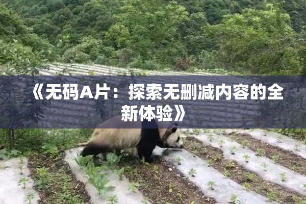 《无码A片：探索无删减内容的全新体验》