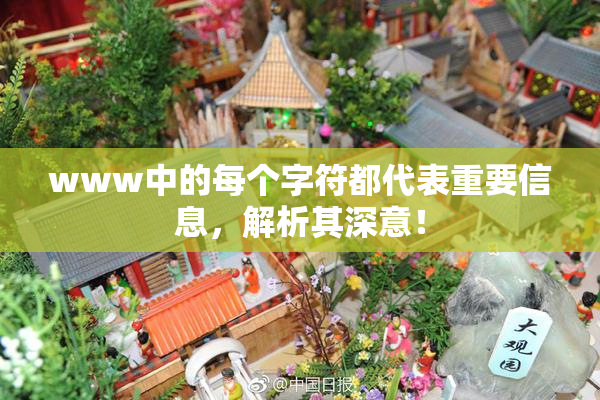 www中的每个字符都代表重要信息，解析其深意！