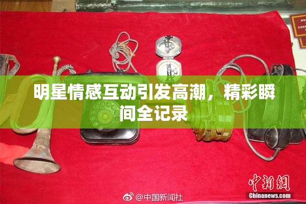 明星情感互动引发高潮，精彩瞬间全记录