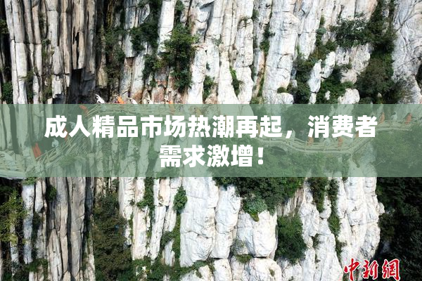 成人精品市场热潮再起，消费者需求激增！