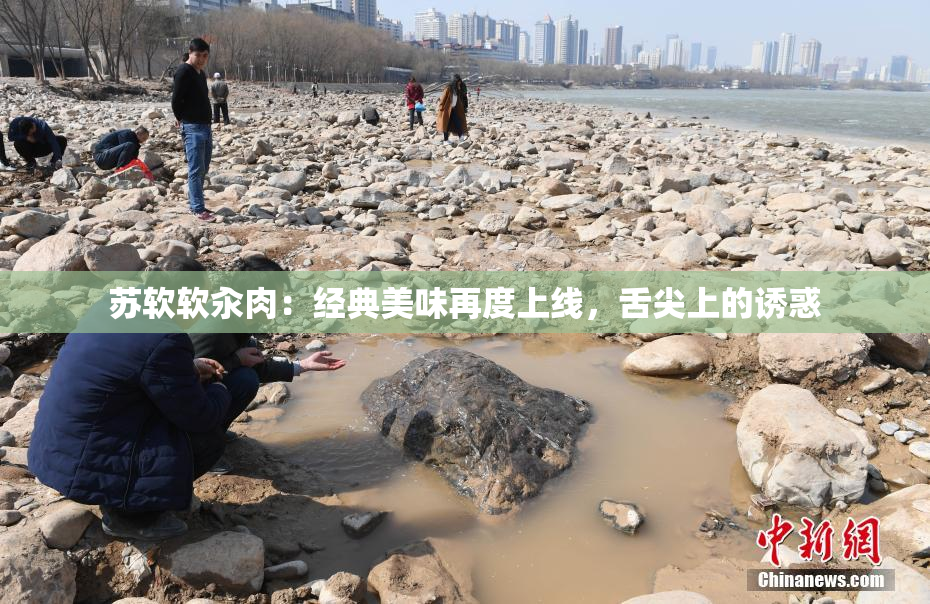 苏软软汆肉：经典美味再度上线，舌尖上的诱惑