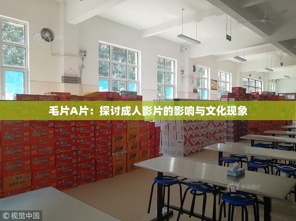 毛片A片：探讨成人影片的影响与文化现象