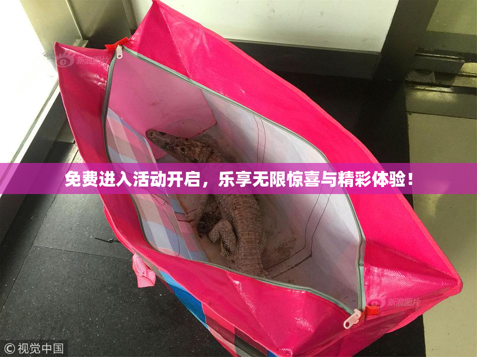 免费进入活动开启，乐享无限惊喜与精彩体验！