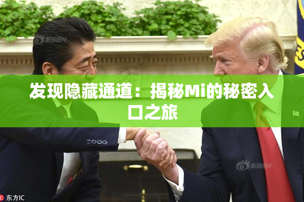 发现隐藏通道：揭秘Mi的秘密入口之旅