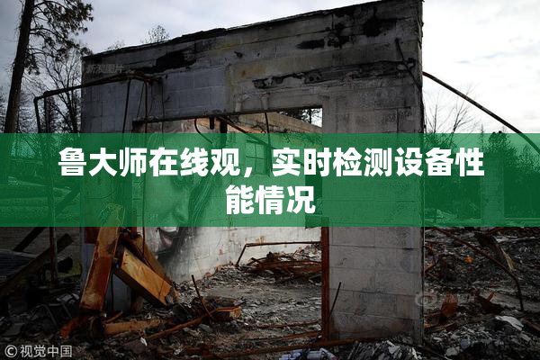 鲁大师在线观，实时检测设备性能情况